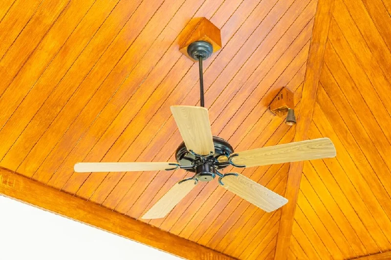Ceiling Fan with Light